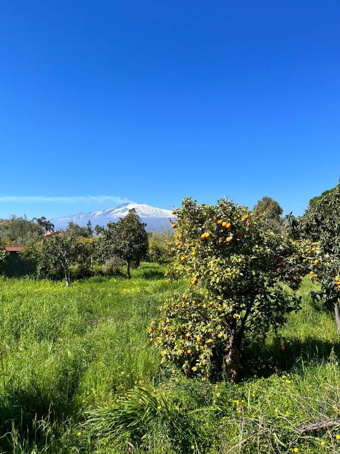 Casa Dei Fiori Con La Vista A Taormina Lägenhet Schiso Exteriör bild