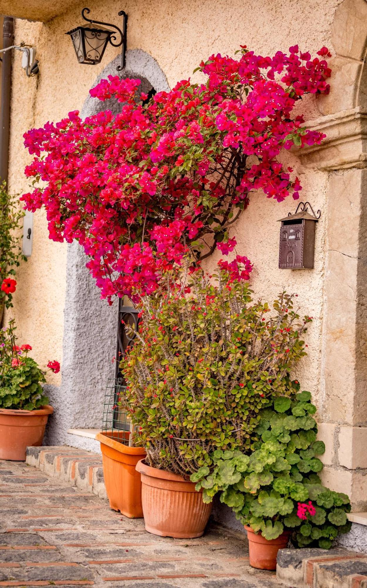 Casa Dei Fiori Con La Vista A Taormina Lägenhet Schiso Exteriör bild